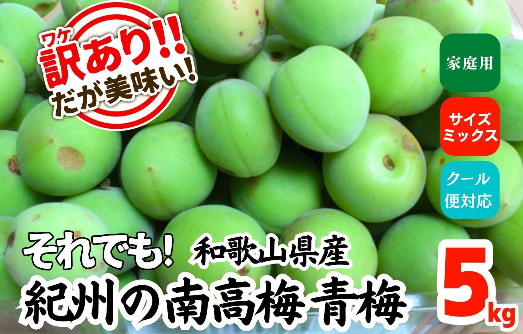 
            [2025年6月上旬出荷]青梅 南高梅 約5kg 訳あり サイズミックス 和歌山県産 A品 梅酒作り用 梅ジュース作り用
          