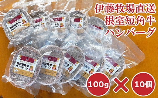 A-13024 【北海道根室産】短角牛ハンバーグ100g×10P