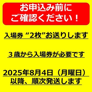 第77回諏訪湖祭湖上花火大会「ふるさと寄附」ペア入場券（石彫公園）プレミアムエリア（※注意事項を必ずご確認の上、お申し出ください）／諏訪湖祭実行委員会 花火大会 諏訪湖 信州 長野県 諏訪市 諏訪 花