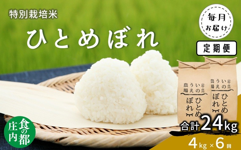 
            食の都庄内　【定期便6回】井上農場の特別栽培米 ひとめぼれ 4kg×6回
          