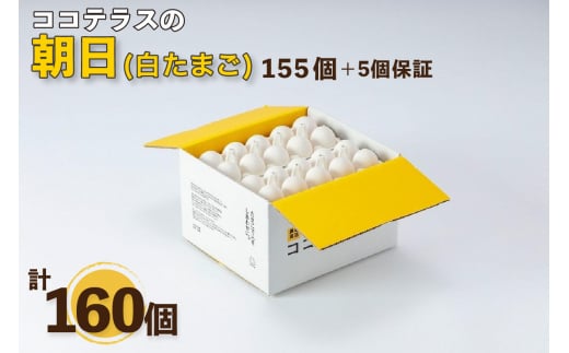 
ココテラスの朝日（白たまご）155個 + 5個保証（計160個）
