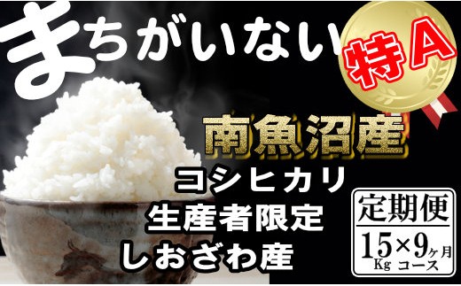 
                  【令和8年産　新米予約】【定期便】生産者限定 契約栽培　南魚沼しおざわ産コシヒカリ（15Kg×9ヶ月）【定期便 銘柄米 ブランド米 精米 こしひかり コシヒカリ 魚沼産 新潟米 産地直送 お米 米】【2026年10月上旬より1ヶ月以内に順次発送予定】
                