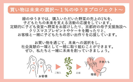 ＜5か月定期便＞2027年発送【緑のゆうき】購入された野菜の売上の1％が、社会貢献に 京都産のこだわり野菜（有機野菜、栽培期間中農薬・化学肥料不使用など）を 美味しいタイミングで収穫したセット	
