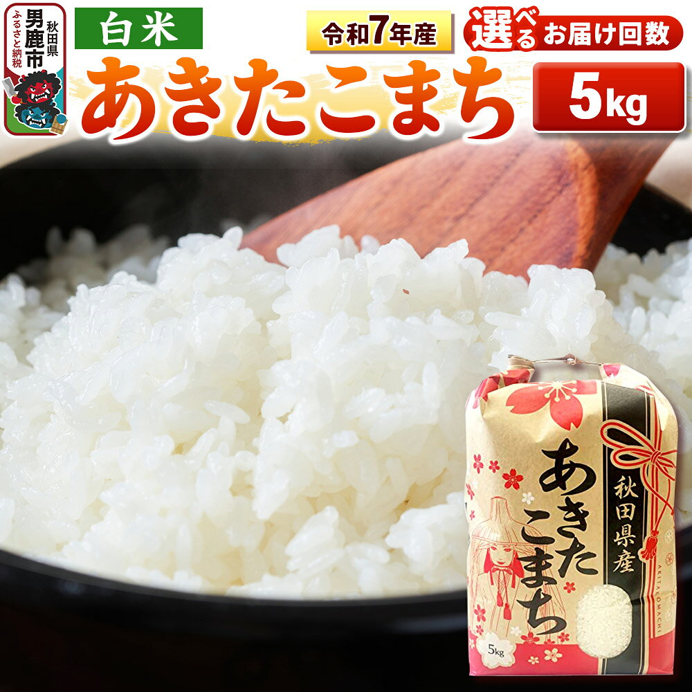 【ふるさと納税】《令和7年産》【白米】秋田県産 あきたこまち 5kg 秋田県 男鹿市 こまちライン【選べるお届け回数】