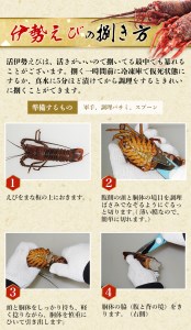 天然 伊勢えび（活）2～5尾 750～850g【2026年10月中旬頃から2027年3月末までに順次発送（1月は漁不可）】 / 伊勢えび 伊勢海老 海老 海鮮 天然 えび エビ 活 【enk002】