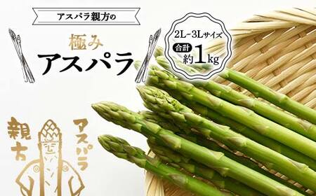 《先行予約》アスパラ親方の極みアスパラ 2L～3Lサイズ 合計約1kg F23R-618