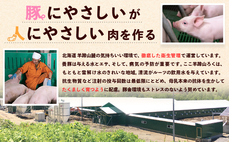 留寿都産　ルスツ羊蹄ぶた　お家で「ルスツ羊蹄ぶた」堪能セット（昆布締めチャーシュー・豚ザンギ【約1.3kg】）【28009】