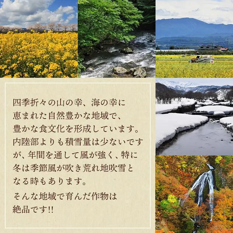 【令和8年産先行予約】 さくらんぼ 紅秀峰 約1kg 山形県庄内産　丸果庄内青果　| サクランボ チェリー 紅秀峰 果物 くだもの フルーツ 1キロ 甘い 完熟 旬 産地直送 人気 美味しい 2026