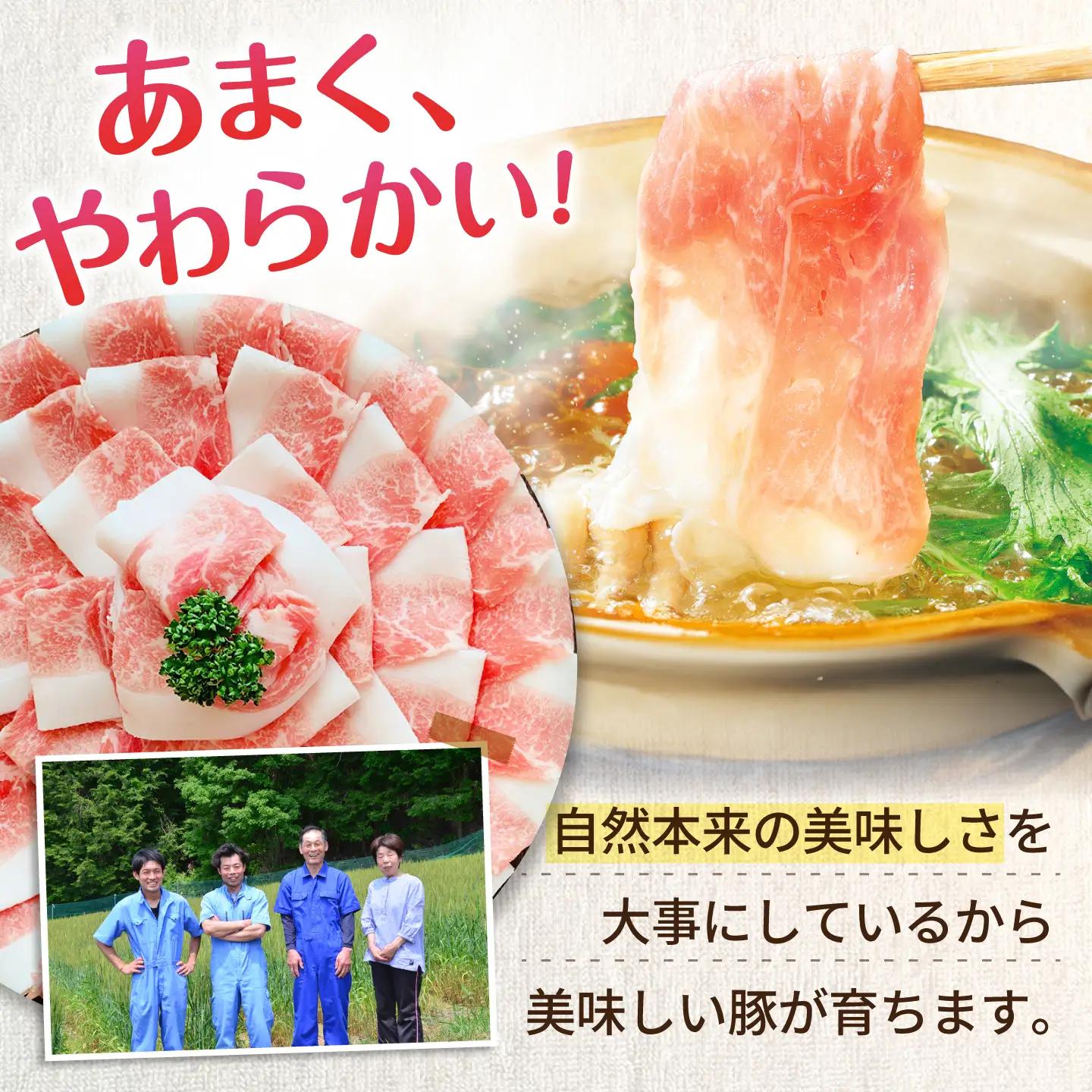 あんしん豚のバラエティセット 7種 計2.7kg（バラ、モモ、カタロース、ロースしゃぶしゃぶ用、バラしゃぶしゃぶ用、カタ・モモ小間切れ 各200g×2袋／ローステキカツ用 100g×3枚）豚肉 セット