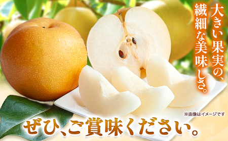 【先行予約】あたご梨4.5㎏贈答箱赤秀４～9玉 石原果樹園 《11月中旬-12月下旬頃より発送予定》岡山県 浅口市 フルーツ 果物 ギフト 贈り物 国産 岡山県産 送料無料
