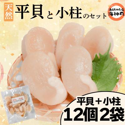 ふるさと納税 南知多町 平貝と小柱のセット 平貝12個 小柱2袋