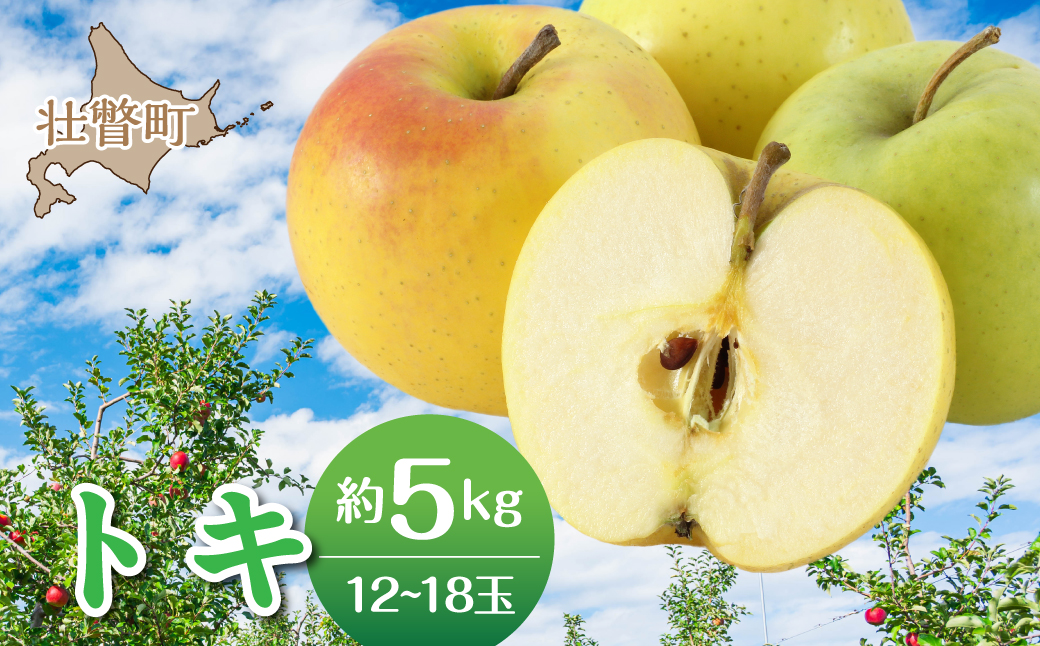 ＜2026年10月中旬よりお届け＞北海道壮瞥町　りんご　品種名「トキ」12～18玉約5kg SBTF017