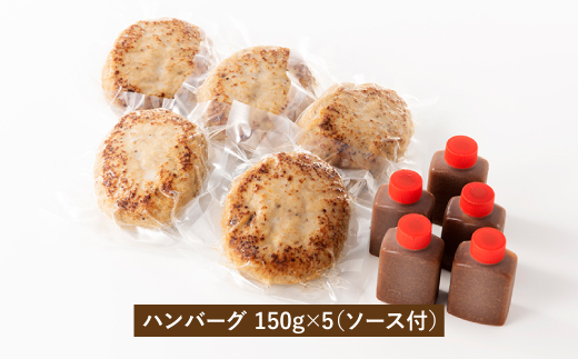 AB189.九州産黒豚ハンバーグセット