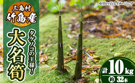 msm-017 《先行予約受付中！2026年5月初旬以降順次発送予定》大名筍(10kg・約32本)【NPO法人みしまですよ】三島村 筍 たけのこ タケノコ 皮付き  野菜 新鮮 煮物 味噌汁 炊き込みご飯 