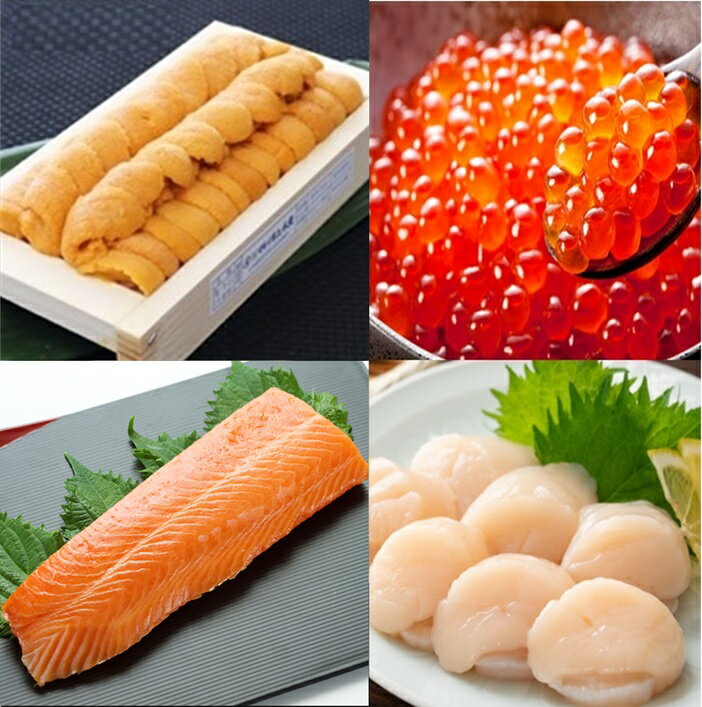 【ふるさと納税】エゾバフンウニ100g×1折、いくら醤油漬け(鱒卵)100g×1P、お刺身ホタテ貝柱300g×1P、お刺身サーモン300g～500g(1～3本)[11月下旬以降発送] E-71044