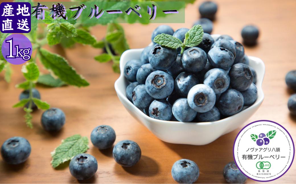 
            完熟有機ブルーベリー1kg【有機JAS認定】
          