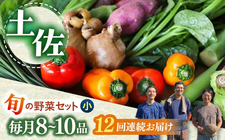 定期便 土佐の太陽をいっぱいに浴びた旬の野菜セット小 (12回配送)【土佐野菜】 [ATBA007]