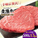 【ふるさと納税】【選べる容量】おおいた豊後牛 モモ ステーキ 500g〜1.5kg 日田市 / 株式会社MEAT PLUS　牛 うし 黒毛和牛 和牛 豊後牛[AREI029-AREI031]