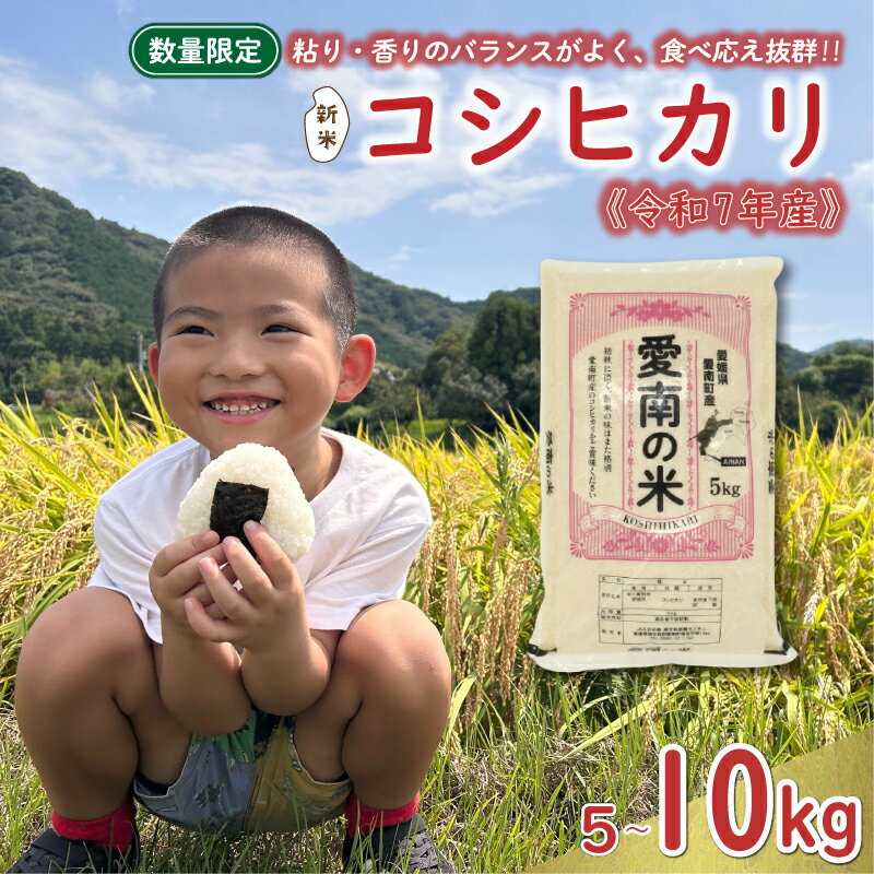 【ふるさと納税】 選べる内容量 先行予約 新米 令和7年産 コシヒカリ 5kg 10kg 13000円 25000円 お米 白米 精米 米 こめ 期間限定 数量限定 特産品 令和7年度産 2025年産 人気 ブランド おいしい おにぎり こしひかり プレゼント ギフト えひめ南農業協同組合 愛南町 愛媛県