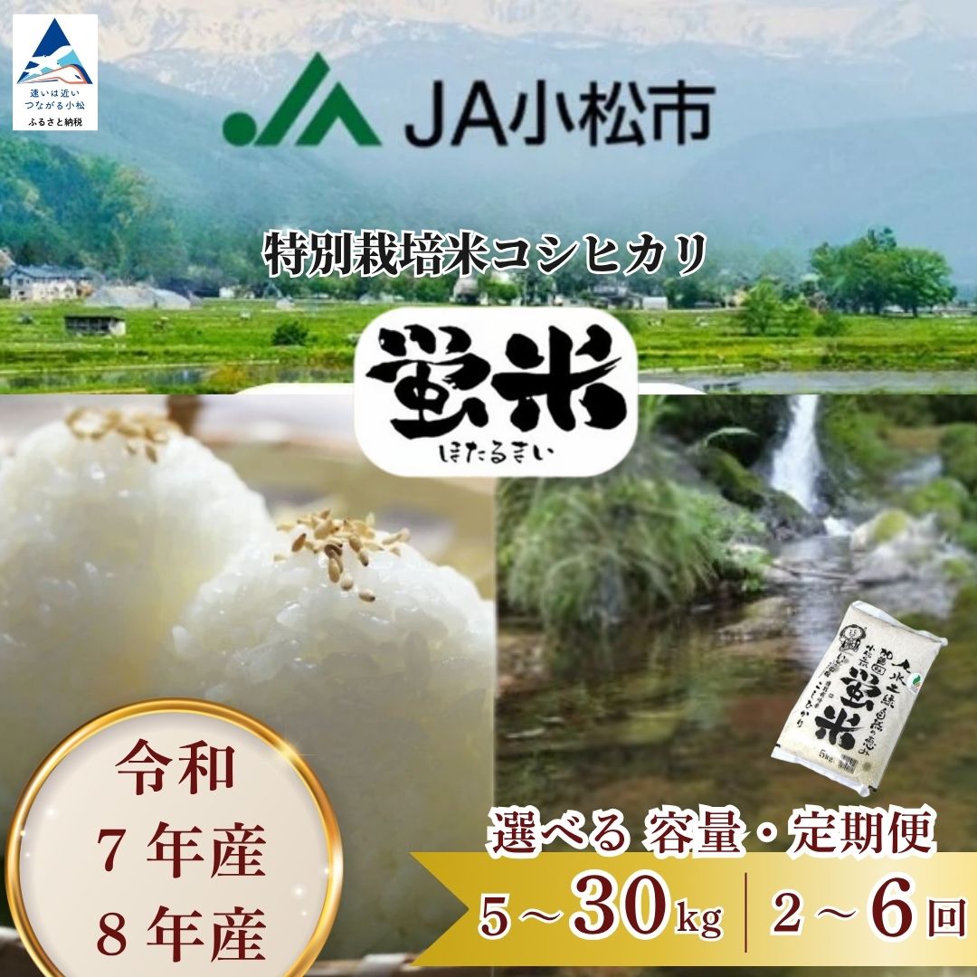 【ふるさと納税】 《 特別栽培米 コシヒカリ 》 蛍米 精米 産年 ( 令和7年産 / 令和8年産 ) 容量 ( 5kg / 10kg / 15kg / 20kg /30kg ) 定期便 ( 2ヶ月 / 3ヶ月 / 6ヶ月 ) 米 コメ お米 国産米 5キロ 10キロ 15キロ 20キロ 30キロ 2回 3回 6回 石川県 小松市 北陸 JA 010013