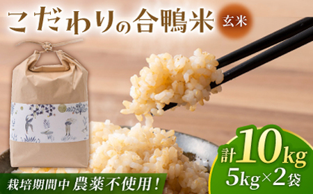 合鴨玄米 5kg×2 計10kg 【あいがもん倶楽部】[ZAR029]