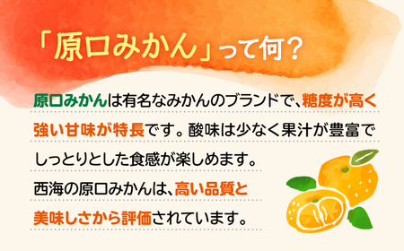 【☆先行予約☆】【 訳あり 】 原口みかん （S～Lサイズ混合） 約5kg   長崎 西海 みかん ミカン 原口みかん 5kg みかん ＜横坂農園＞ [CFW002]