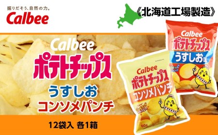 カルビーポテトチップス＜うすしお×コンソメパンチ＞12袋入 各1箱《北海道工場製造》 お菓子 スナック菓子 北海道産 じゃがいも ポテトチップス 北海道ふるさと納税 千歳市 ふるさと納税 北海道千歳市