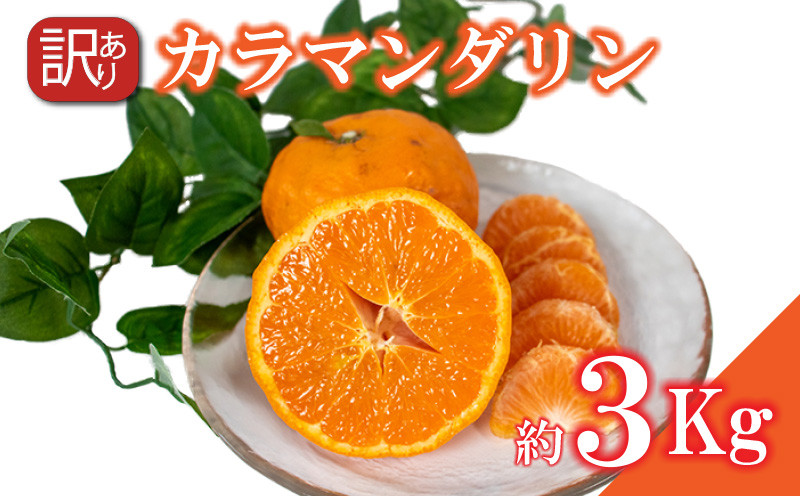 
                  【2026年4月上旬～5月上旬発送予定】訳あり カラマンダリン 約3kg  柑橘 みかん 訳あり 愛媛県 松山市 訳ありみかん 柑橘 ふるさと納税 期間限定柑橘 ふるさと納税みかん 訳ありみかん
                