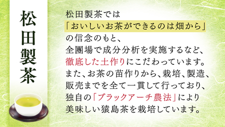 松田製茶 特別 アイス セレクション ( 緑茶 / ほうじ茶 / 和紅茶 / いちご和紅茶 / メロン緑茶 / 干し芋紅茶 / チョコ和紅茶 ) 7個 セット アイスクリーム 紅茶 和紅茶 詰め合わせ