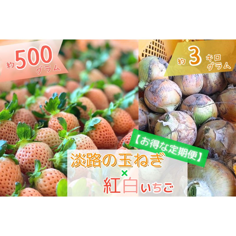 【ふるさと納税】［先行受付／定期便］旬の味覚がいろいろ届く◎【淡路島産】玉ねぎ（3kg）と紅白イチゴ（500g）の贅沢セット！ 兵庫県 洲本市 淡路島 　お届け：玉ねぎ（2026年5月～6月）、イチゴ（2026年1月～5月）
