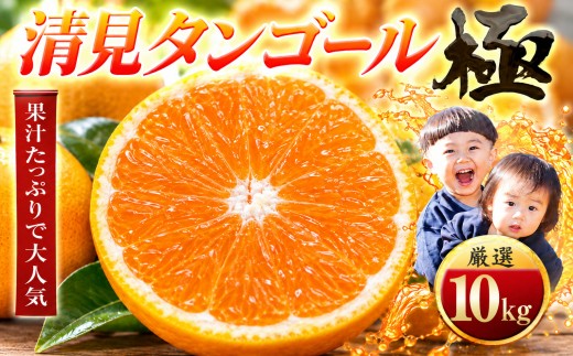 ＜太陽をたっぷり浴びた＞清見タンゴール＜極＞10kg＜F49-53＞【1509750】 YWTZ045