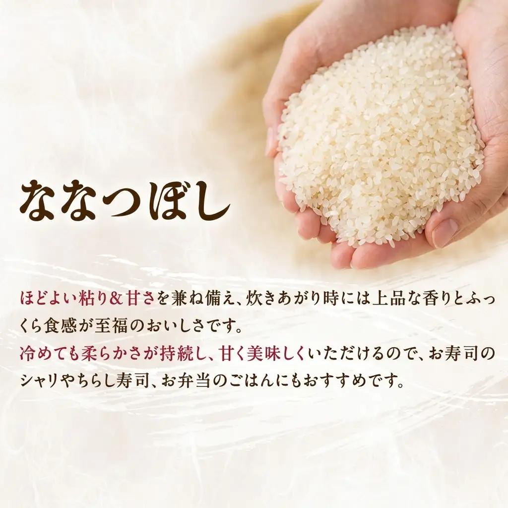 ななつぼし 北海道産 精米 特A ななつぼし【10kg】【3ヵ月定期便】