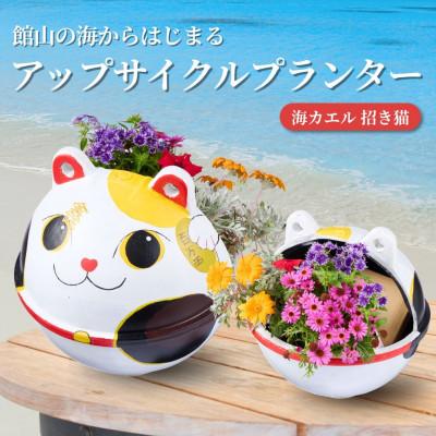 ふるさと納税 館山市 アップサイクルプランター　海カエル招き猫(1個)