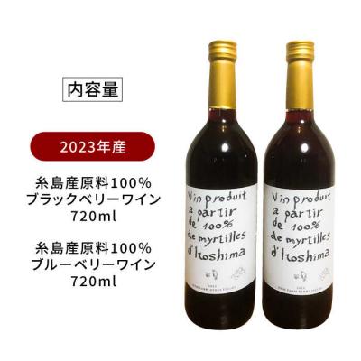 ふるさと納税 糸島市 2023年産 糸島産ブルーベリー・ブラックベリーワイン 720ml×2種セット[AHM002] |  | 03