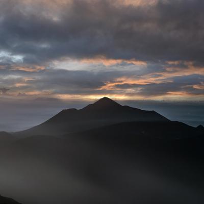 ふるさと納税 高原町 国産薬草茶 きりしま日和 スギナ茶ティーバッグ 1.5g×60包　yy-653 |  | 03