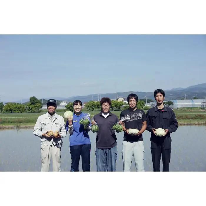 【生姜】 土佐野菜セット 無農薬生姜100g付き 6回定期便