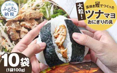 鰹ツナパウチ 100g×10袋セット 高知県土佐市 【企業組合　宇佐もん工房】 [BQAB065]
