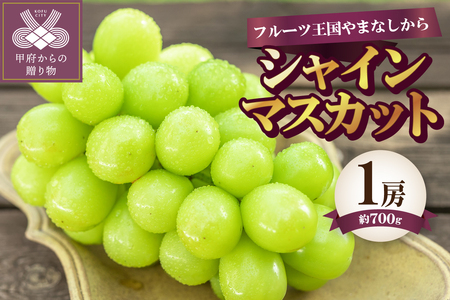 〈2026年度配送分〉シャインマスカット1房（約700g） 山梨 県産 先行予約 2026年 ぶどう フルーツ 1房 冷蔵 生産量 日本一 甲府 市産 700g以上 フルーツ王国山梨 2026年8月中旬～9月中旬にかけて順次発送