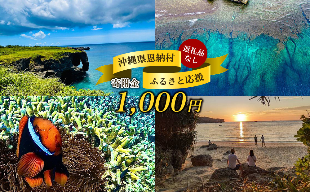 【返礼品なし】沖縄県恩納村ふるさと応援寄附金 1000円