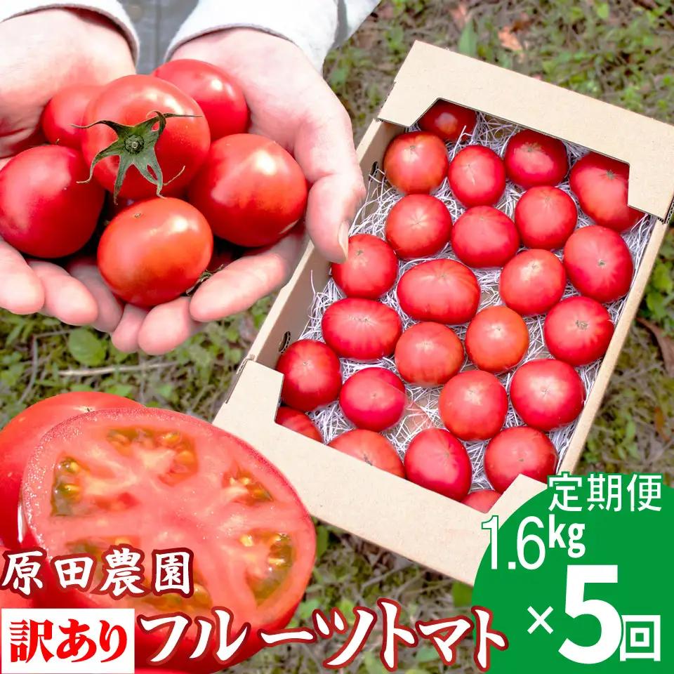 【ふるさと納税】〈2026年12月下旬～順次発送〉訳あり 5回 定期便 フルーツトマト 原田農園＜1.6kg 箱入＞【先行予約受付中】桃太郎 【常温】送料無料 家庭用 ワケあり 変形 キズあり 高知県