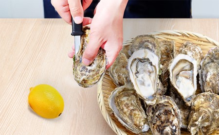 3ヶ月 定期便 厚岸産 殻付き 牡蠣 Ｌサイズ 20個入 (各回20個×3ヶ月分,合計60個) カキナイフ付き 加熱容器付き 魚貝類 生牡蠣 かき 殻付き牡蠣 マルえもん 3カ月 3回 メルマガ掲載商