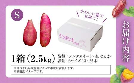 人気品種「紅はるか・シルクスイート」の食べ比べ！ 【数量限定】北海道雨竜町産 さつまいも 食べ比べセット「シルクスイート・紅はるか」 Sサイズ 2.5kg 小さめサイズ 産地直送 さつまいも サツマイ