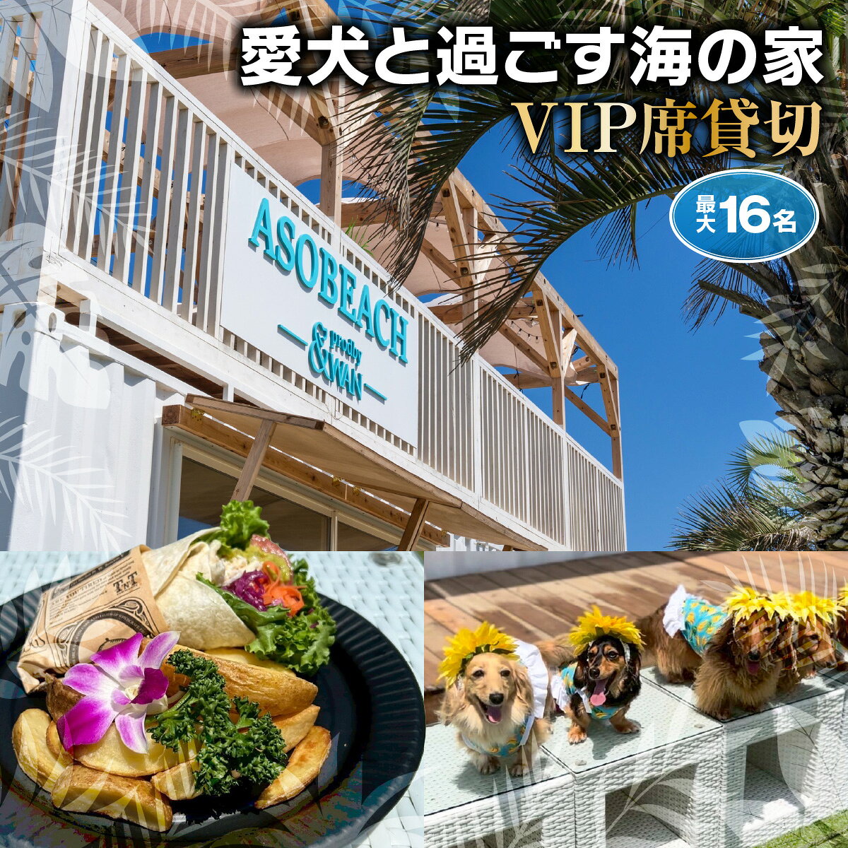 【ふるさと納税】ASOBEACH 愛犬と過ごす海の家 VIP席貸切(最大16名) /ふるさと納税 チケット 旅行 ペット わんちゃん ドッグラン＆WAN アンドワン 犬 いぬ イヌ 海の家 九十九里 千葉県 山武市 SMU013