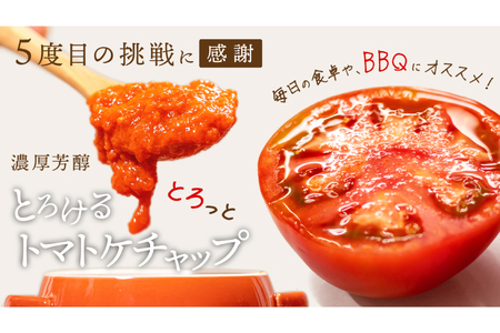 濃厚芳醇とろけるトマトケチャップ 3本 (180g×3) [ヨダファーム 山梨県 中央市 21471032] トマト とまと ケチャプ 調味料 tomato