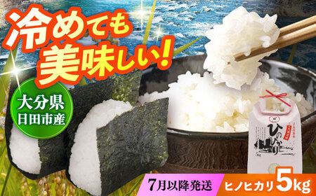 【先行予約】大分県産 ヒノヒカリ 5kg 日田市 こめ コメ 米 [ARDX013] ひのひかり