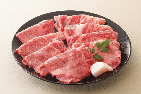 【ふるさと納税】【レビューキャンペーン対象商品】飛騨牛 肩 ロース 焼肉 約500g