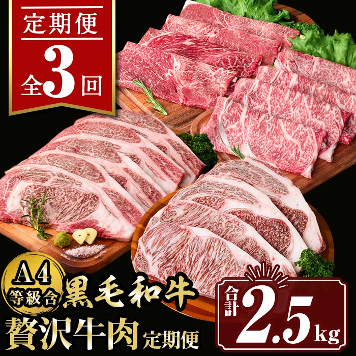 isa509 【定期便3回】贅沢牛肉定期便(合計2.5kg) 肉 牛肉 霜降り すきやき しゃぶしゃぶ 牛しゃぶ 冷凍 ロース カタロース 肩ロース食べ比べ サーロイン リブロース ステーキ BBQ 【サンキョーミート株式会社】