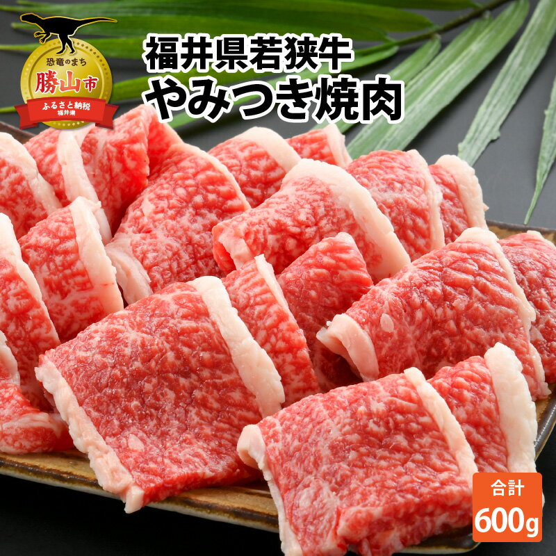 【ふるさと納税】福井県内産 若狭牛やみつき焼肉(600g)|肉 牛肉 国産 黒毛和牛 和牛 冷凍 霜降り 600グラム