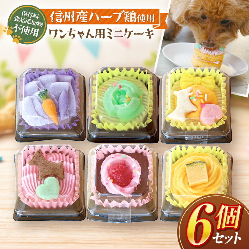 【ふるさと納税】 ペットフード お祝い 信州 ＆ 八ヶ岳 ミート ケーキ ミニ パーティー セット 6種入 ( 犬用 ) | 犬 おやつ プレゼント 誕生日 信州産 ハーブ鶏 肉 手作り 保存料不使用 冷凍 信州 八ヶ岳 長野県 諏訪郡 原村