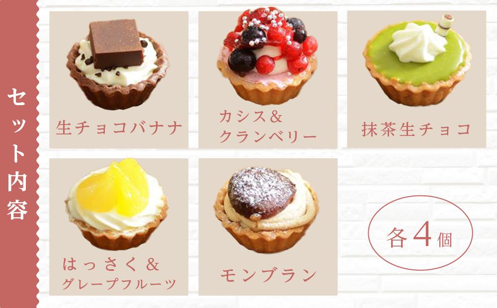 定期便 5ヶ月 フレッシュ タルト 専門店 STYLE 岡山みに たると 厳選 5種 20個入 お菓子 ケーキ タルト スイーツ 合せ [No.5220-1500]